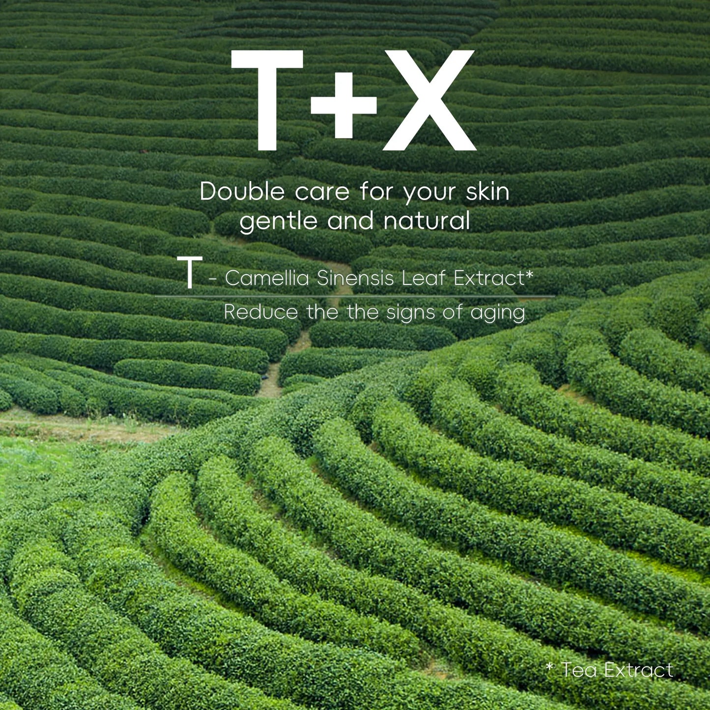 Sa406a118a60749528eae28030e6d157bZ